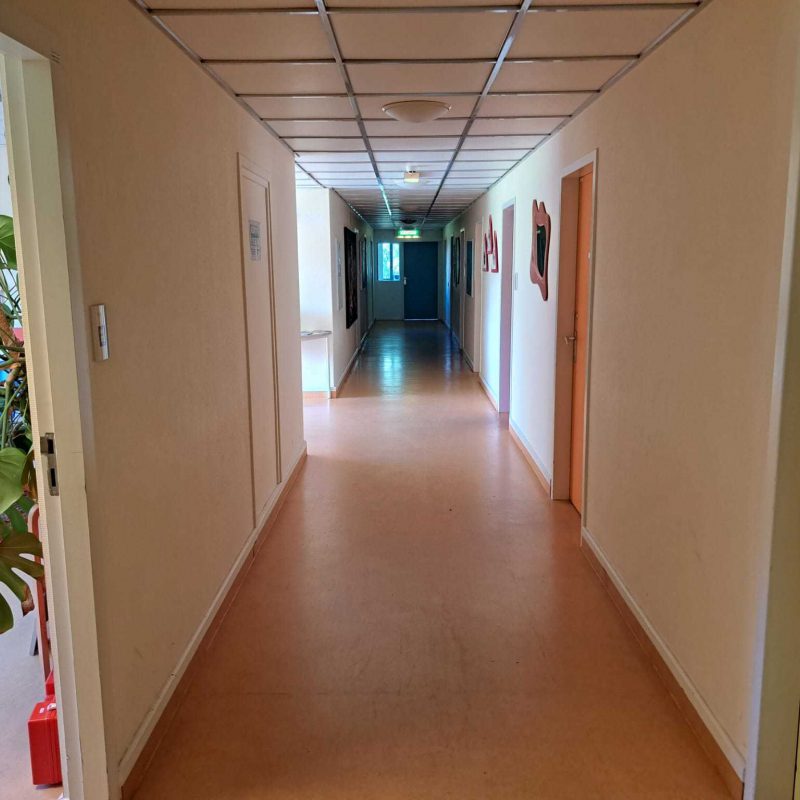 https://www.dehub-haren.nl/bedrijven
